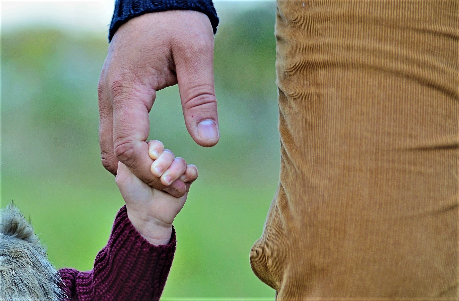 Father holding child's hand