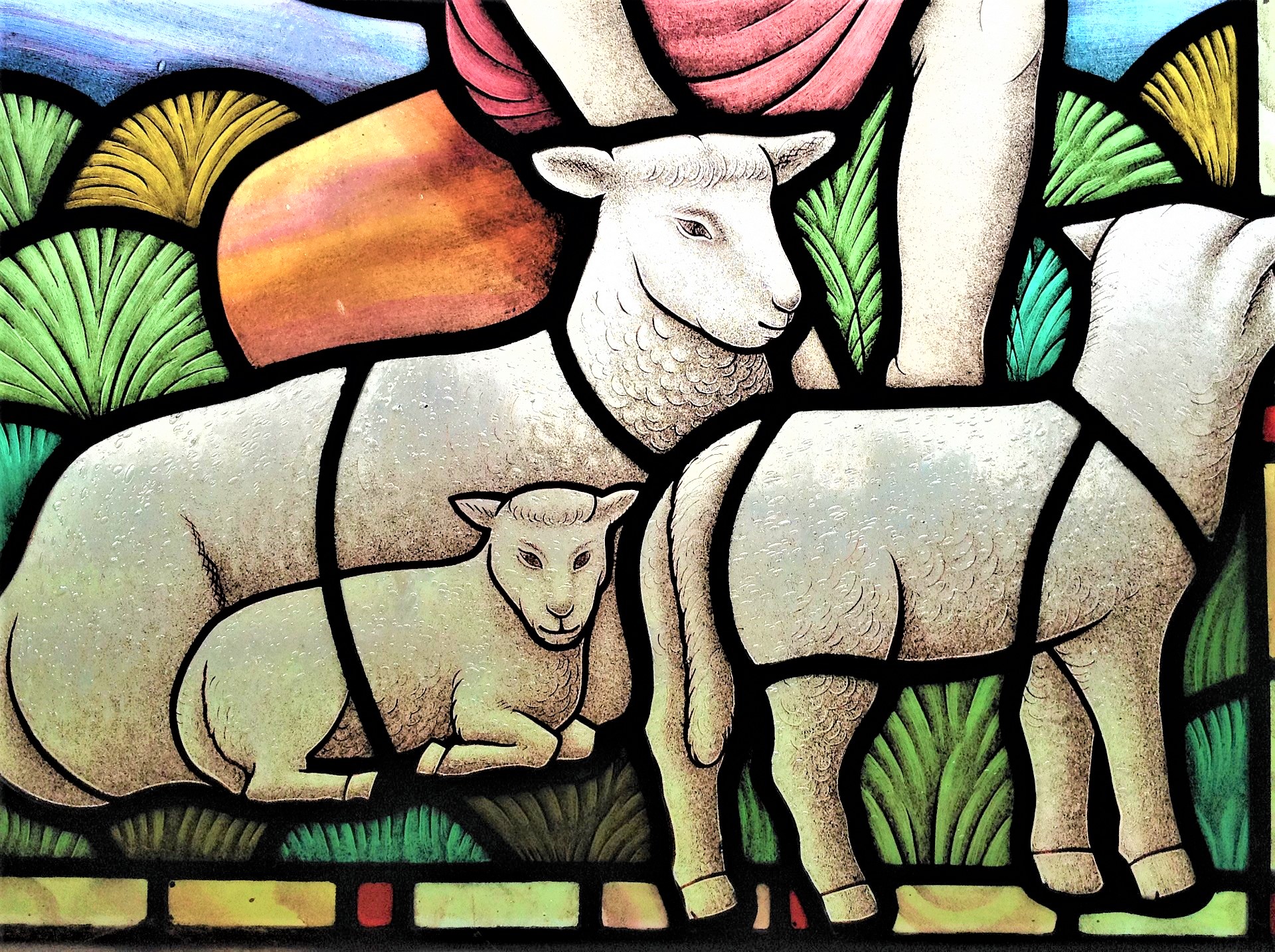 stained glass of sheep