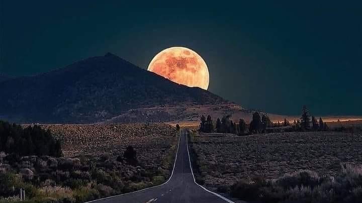 desert Road with Harvest Moon over horizon