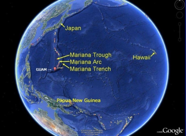 Google image of Pacific and Mariana Trench