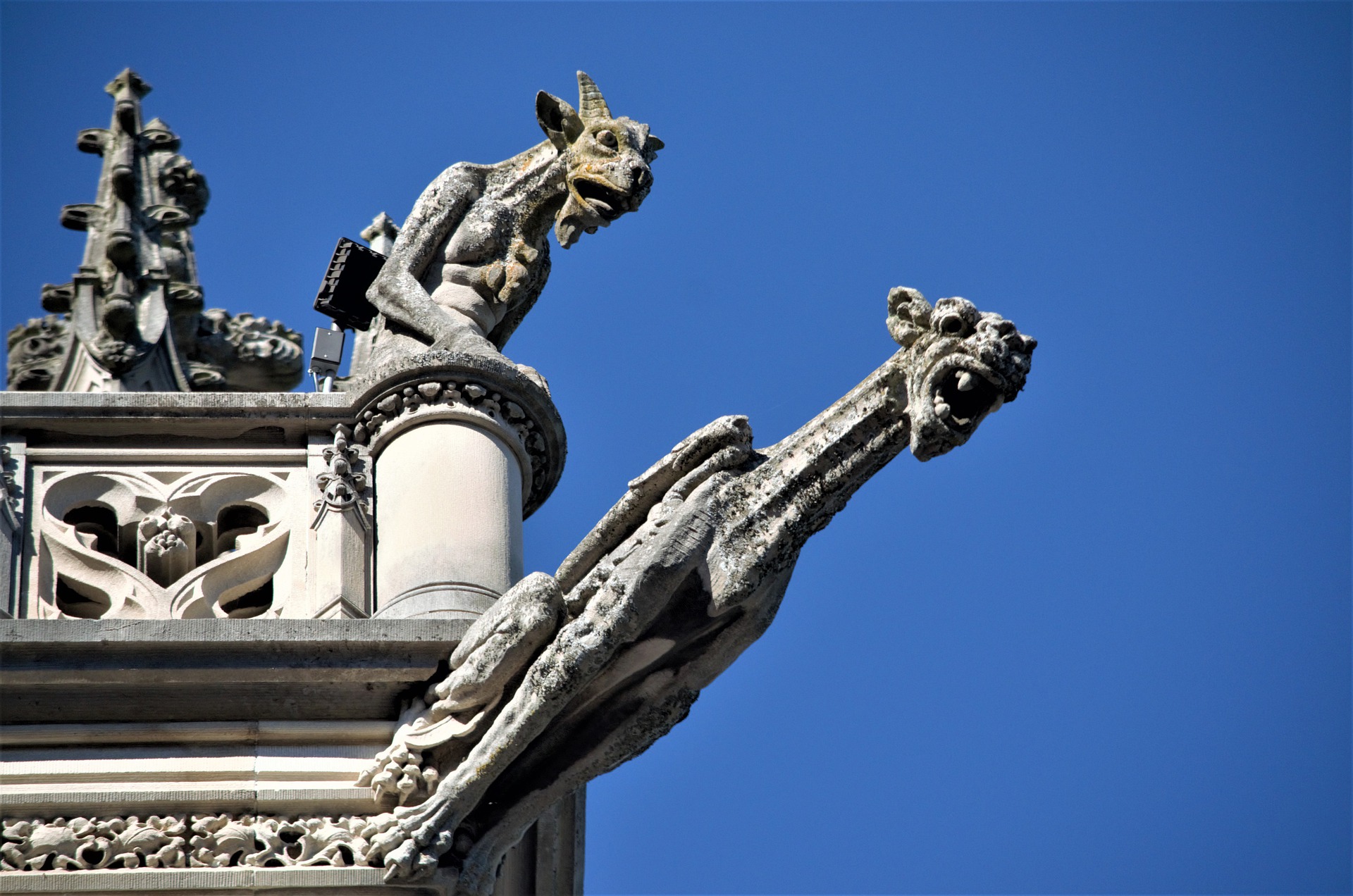 two demonic cathedral gargoyles against blue sky