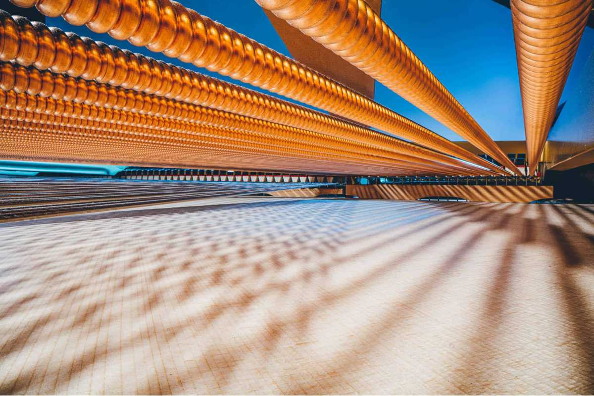 strings of a Steinway grand piano