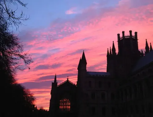 English Cathedral Vaults are Windows into Heaven