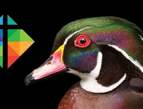 God-Painted Birds and Ravishing Spirits