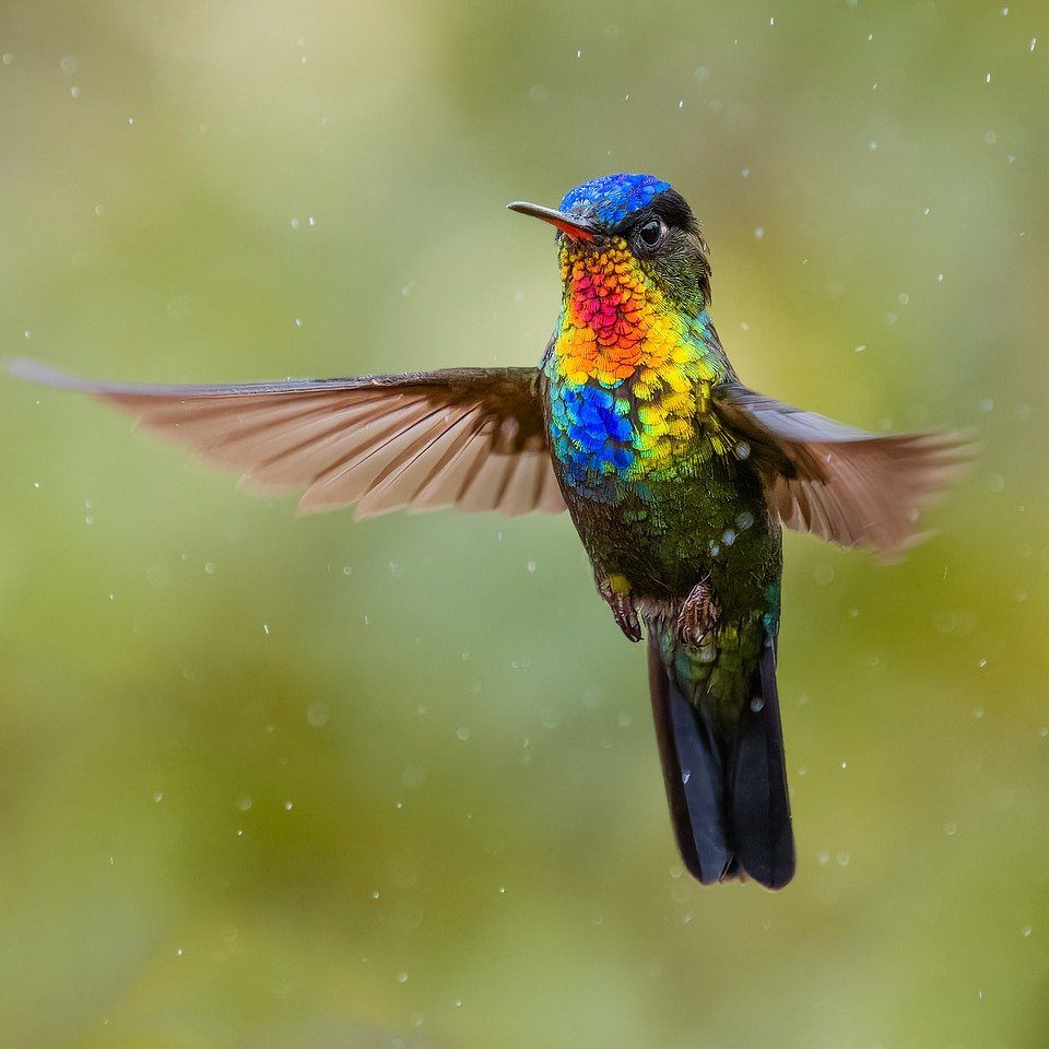 costa-rica-9818840_1280_2
