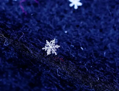 A Million Ice Sculptures from God’s Creative Hand